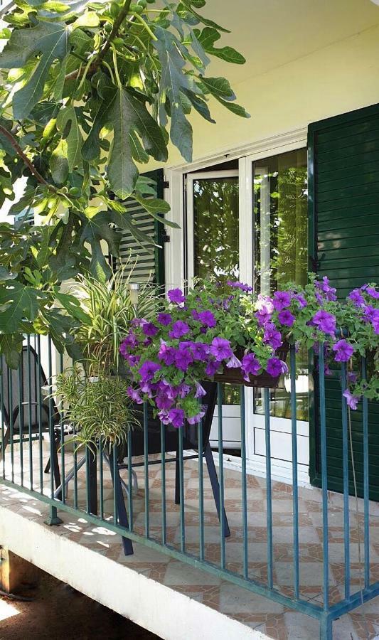 Lav Apartments تْشيرسيك نوفي المظهر الخارجي الصورة